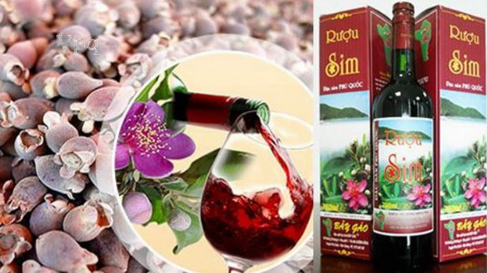 Mật sim, rượu sim Phú Quốc