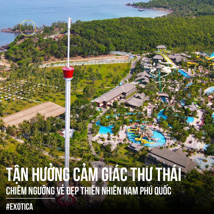 Tận hưởng cảm giác thư thái từ trò chơi Mắt Đại Bàng