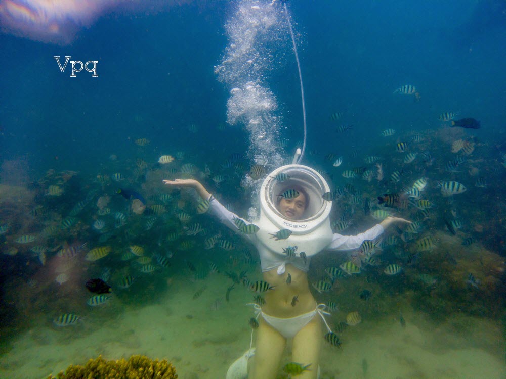 Đi bộ dưới biển Phú Quốc Sea Walker