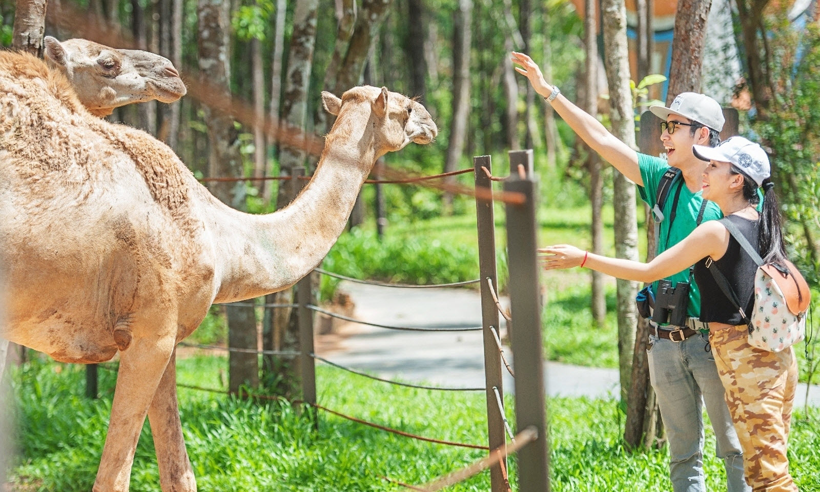 Vinpearl Safari Phú Quốc