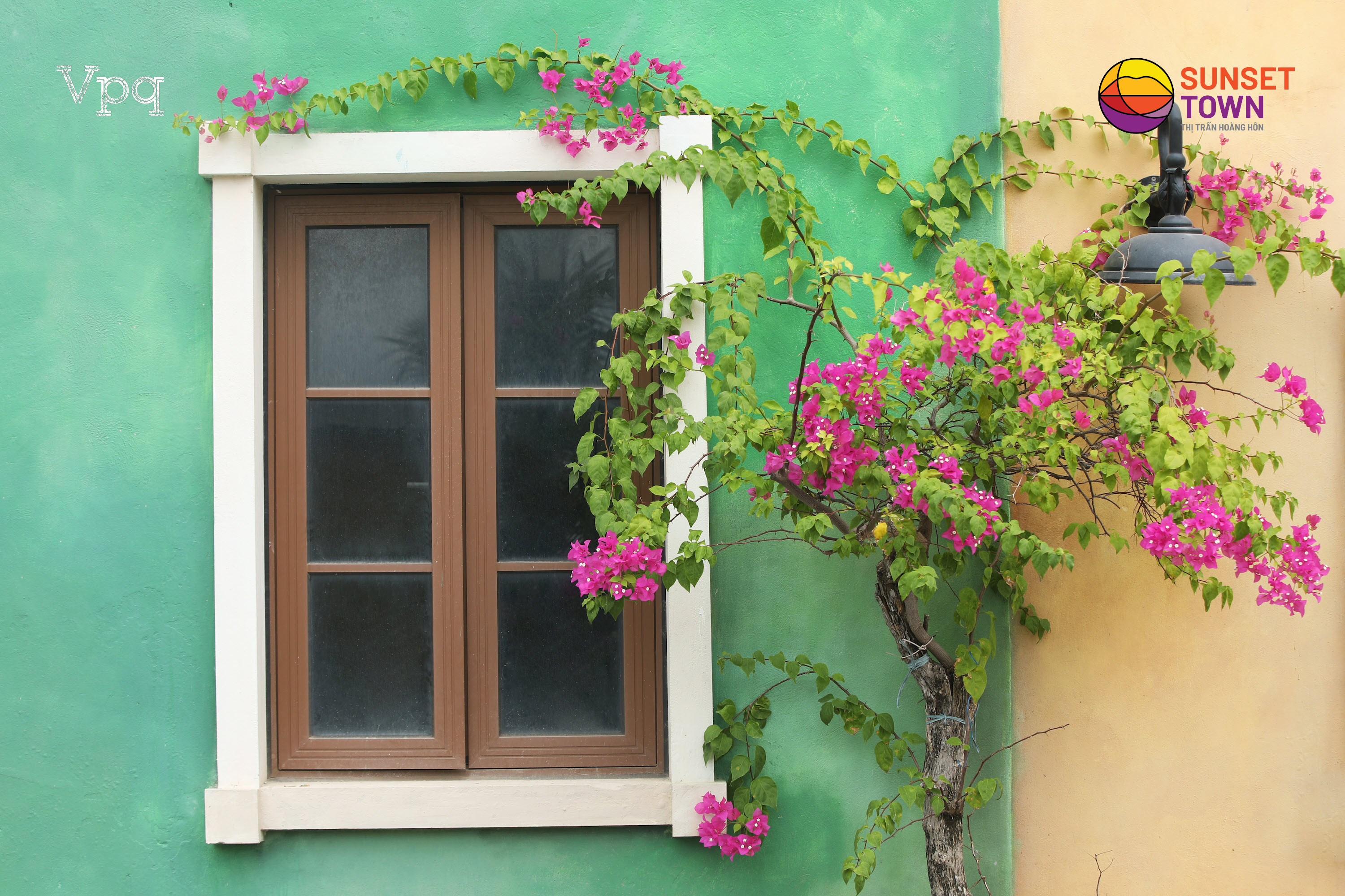 Những ô cửa căn nhà đầy hoa lá