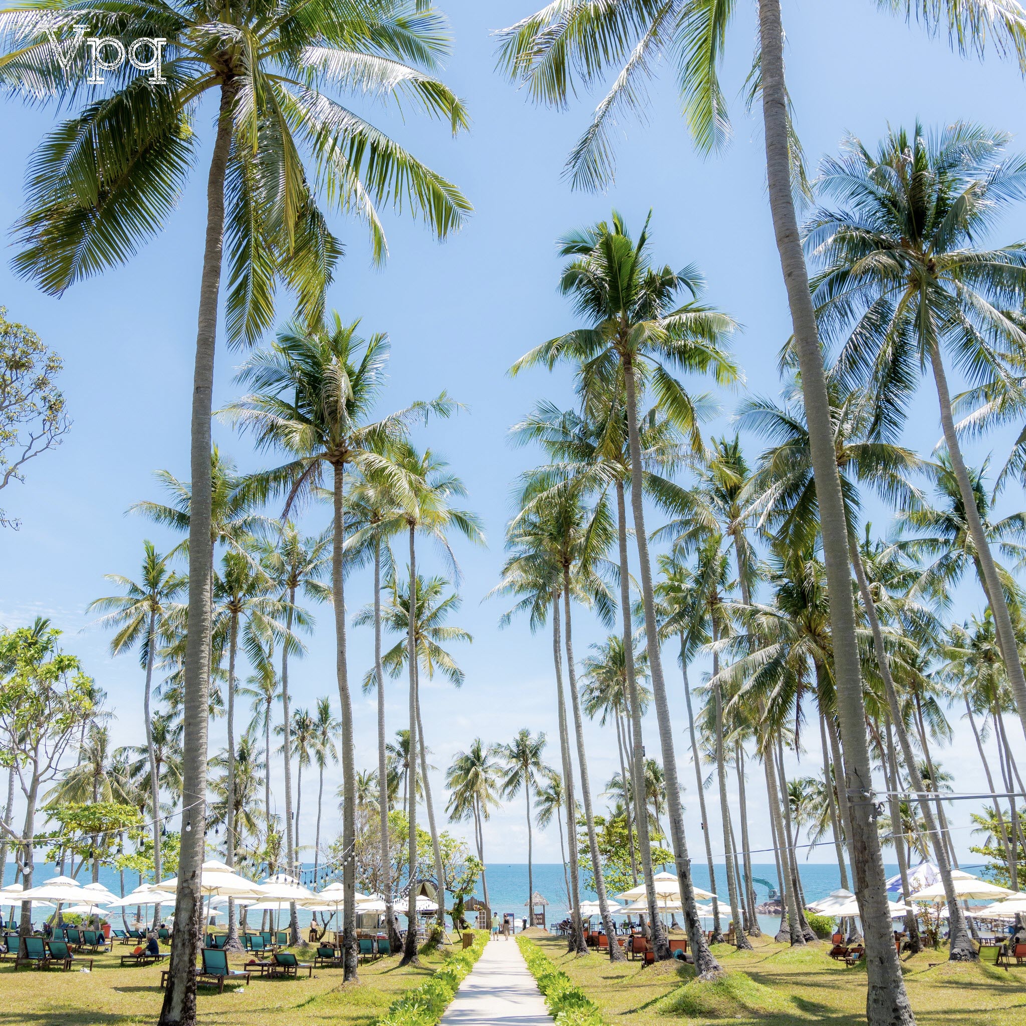 Vẻ đẹp tinh khôi của Hon Thom Paradise Island