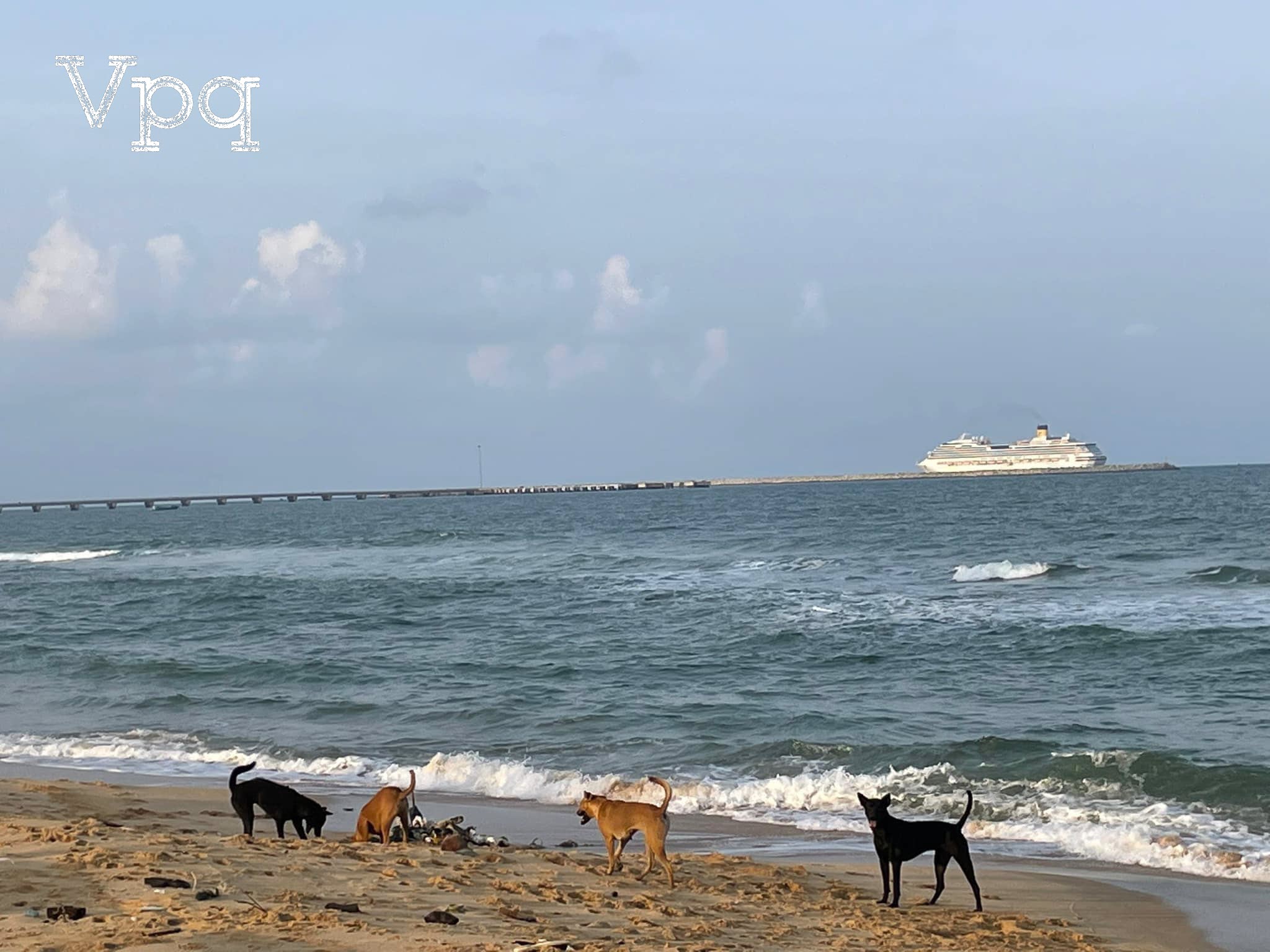 Tàu Costa Serena ghé Phú Quốc - Ảnh 17