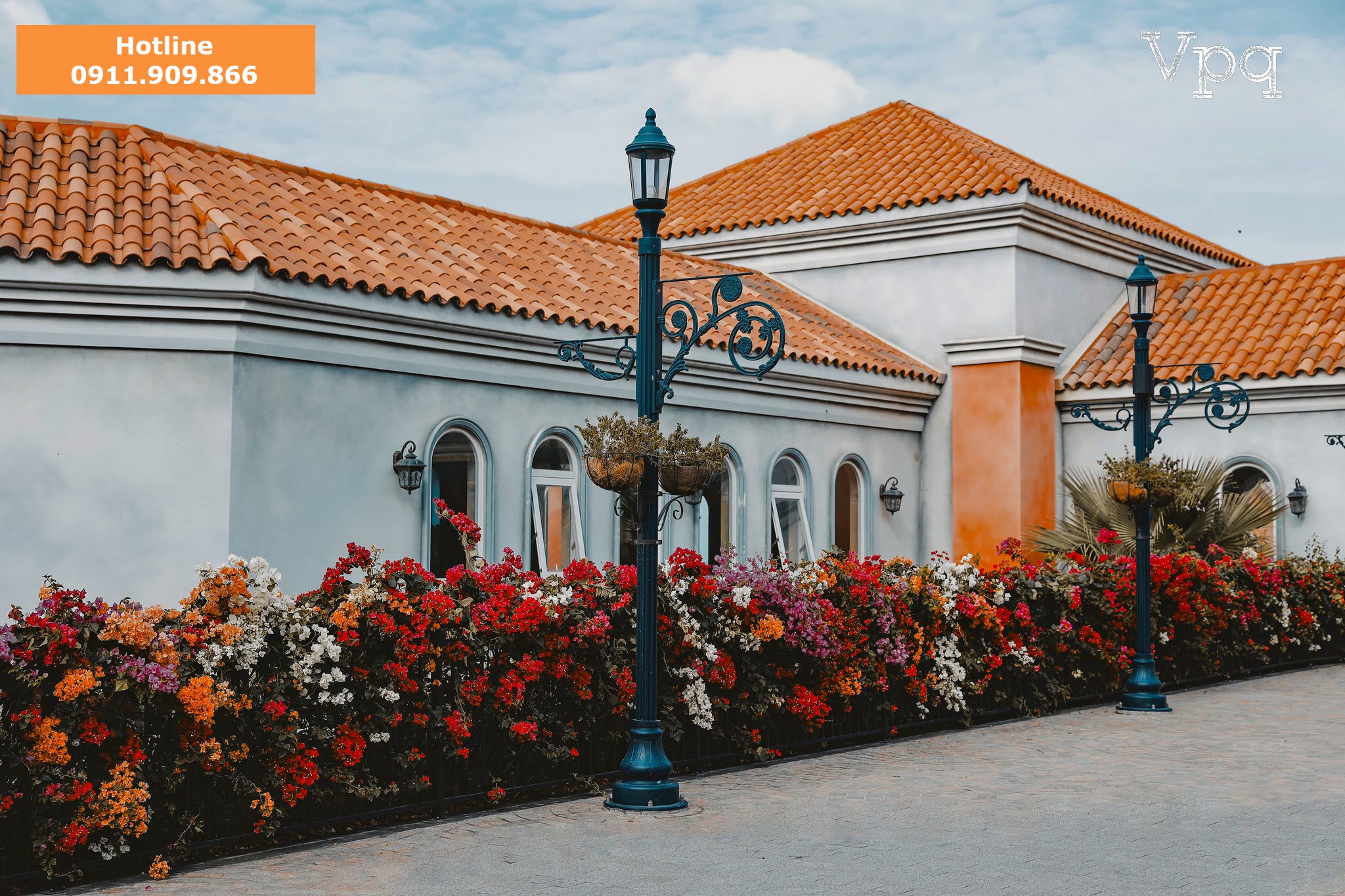 Những rặng hoa sặc sỡ màu sắc tại thị trấn Hoàng Hôn