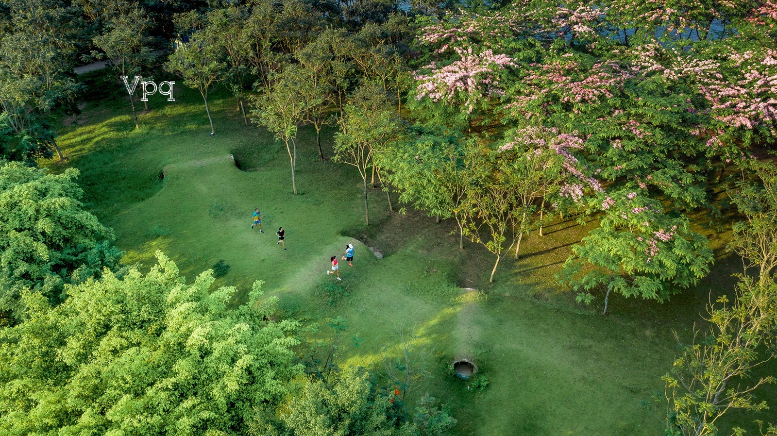 Cuộc sống tại Ecopark Vinh - Ảnh 3
