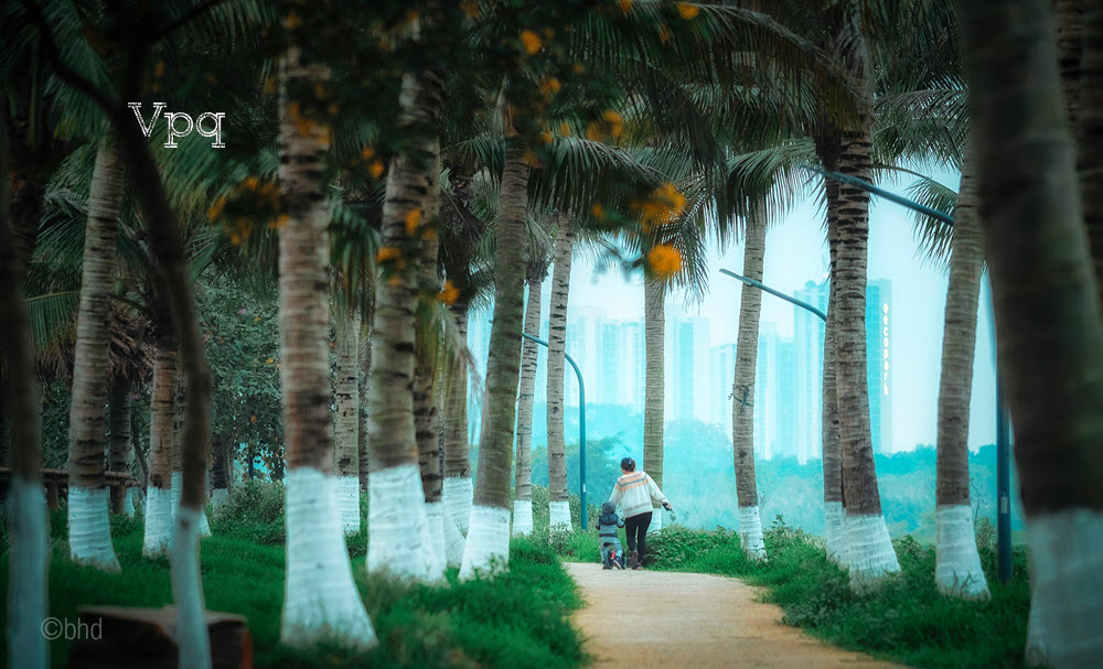 Và cũng là nơi ươm mầm những tương lai tươi sáng