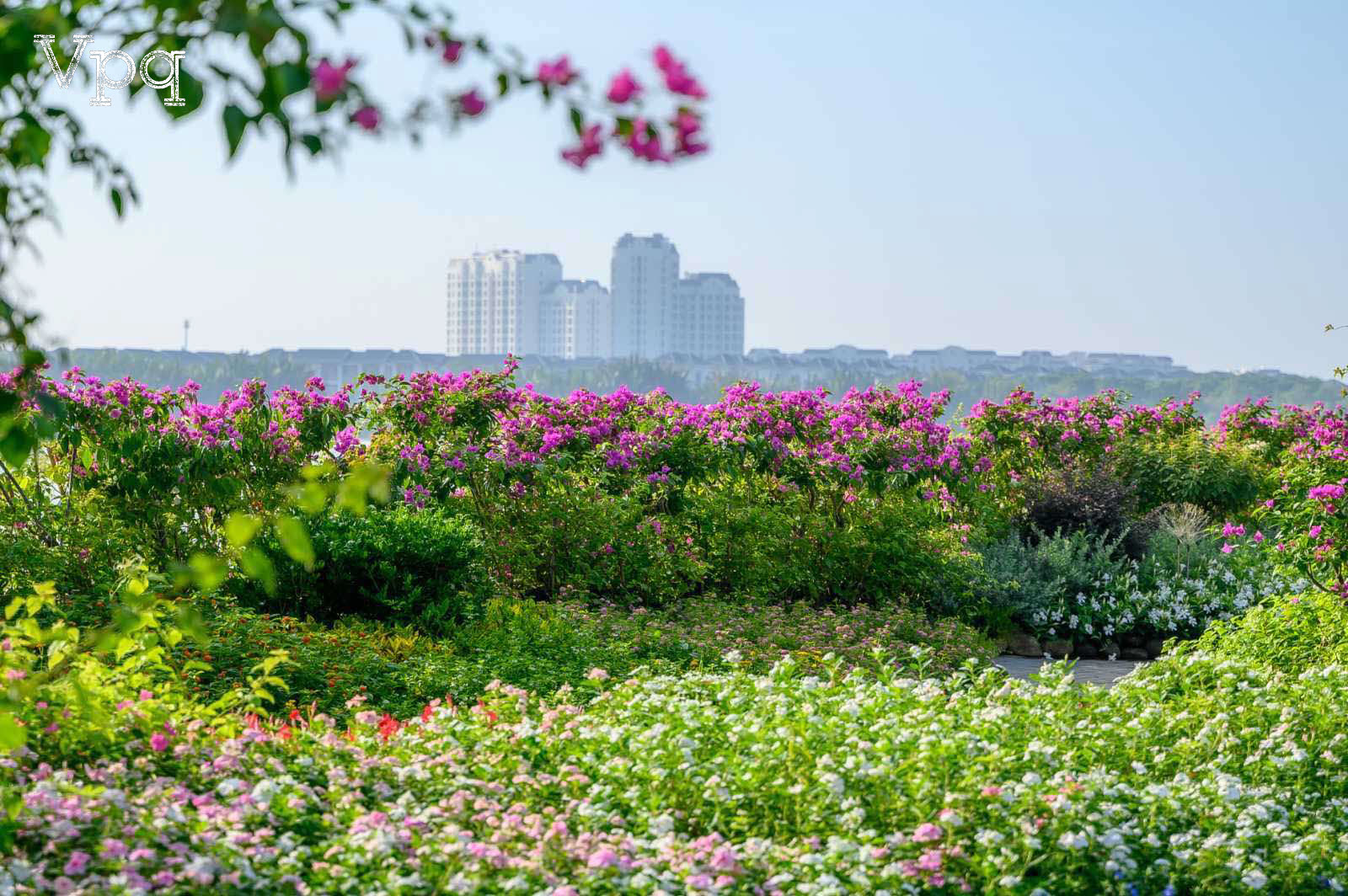 Căn Hộ Ecovillage Saigon River