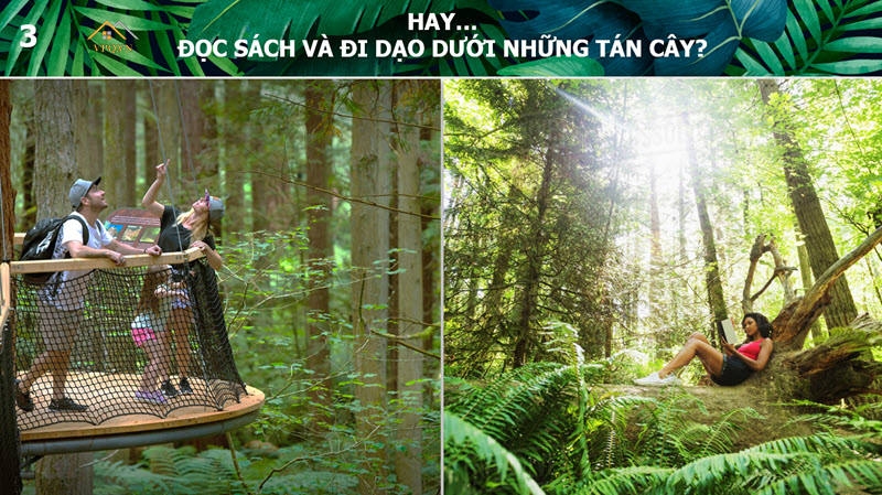 Các hoạt động dã ngoại ngay trong rừng nguyên sinh tại Sun Tropical Village Phú Quốc