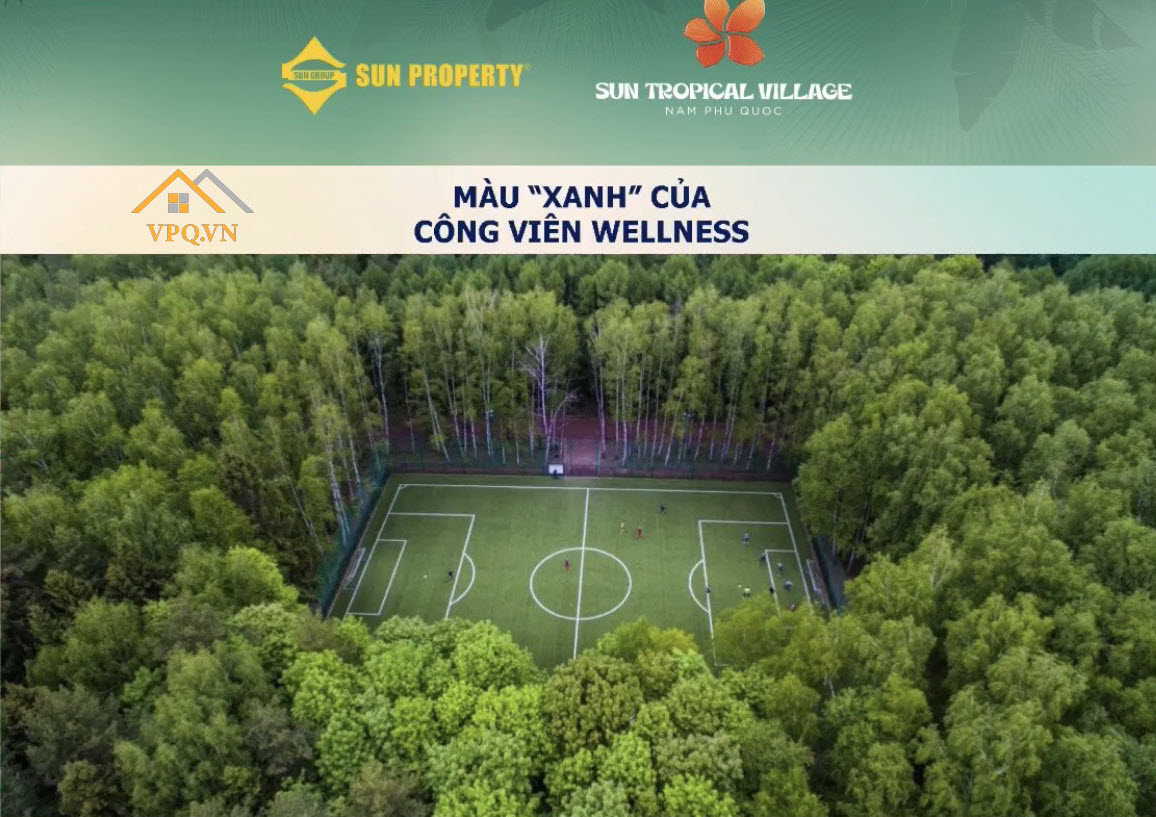Sân bóng tại công viên Wellness Bãi Kem