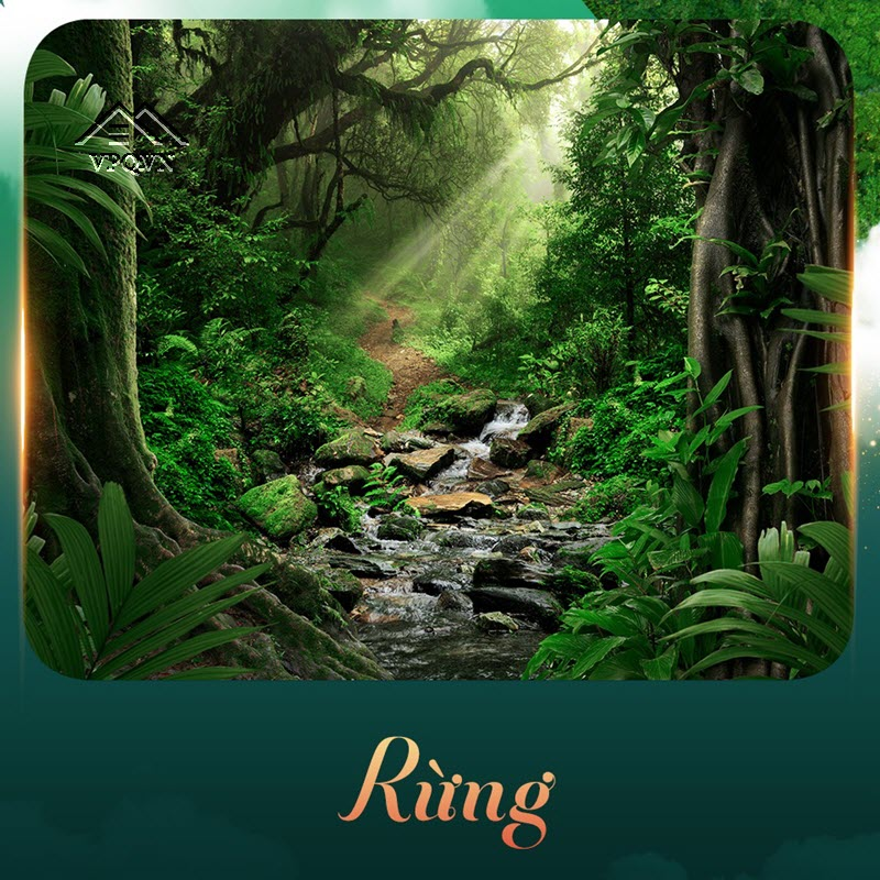 Nhà trong rừng - sống chan hòa cùng thiên nhiên là một điều đó rất xa xỉ