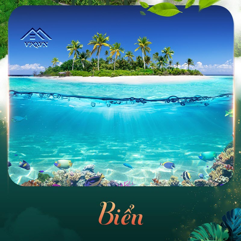Căn nhà mình kế bên một trong những bãi biển đẹp nhất hành tinh