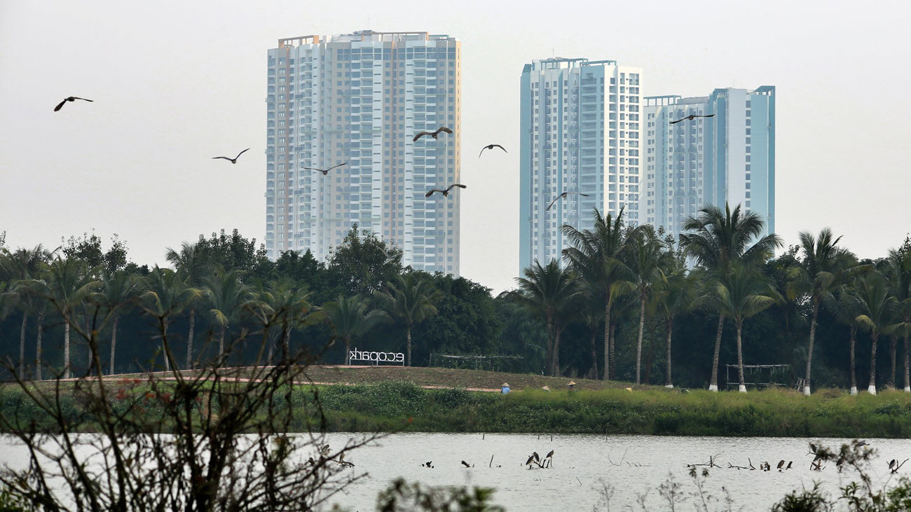 Hãy đến với Swan Lake Park để bạn có thể tận mắt ngắm những đàn Thiên Nga trong cổ tích