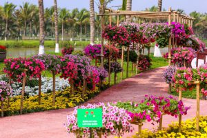 Đến với Swan Lake Park là bạn đã đến với thiên đường hoa lá