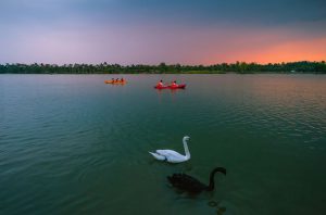 Chi phí cho một lần trải nghiệm chèo thuyền Kayak tại Swan Lake Park chỉ với 200.000 đồng/h