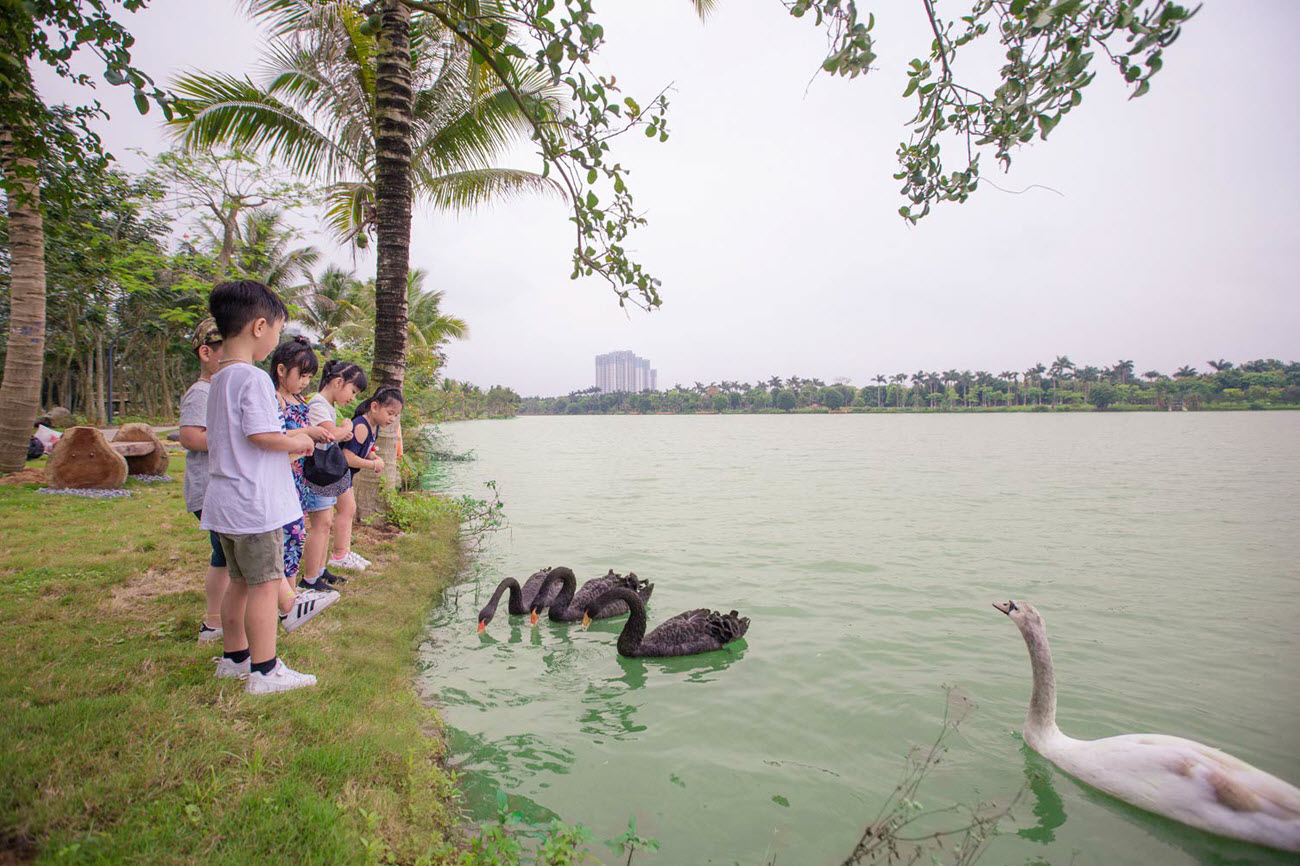 Các bé được vui đùa cùng nhưng bạn Thiên Nga tại Ecopark