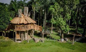 Nhà gỗ tại công viên hồ Thiên Nga Swan Lake Park