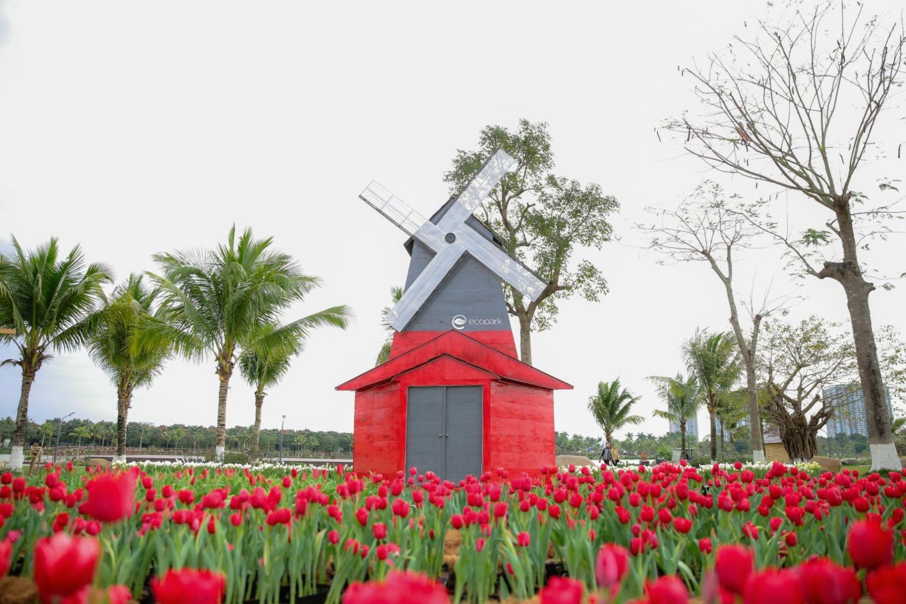 Cối xay gió đậm chất hơi thở xứ xở hoa Tuy-líp Hà Lan tại Swan Lake Park